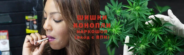 шишки Абаза
