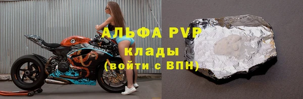 шишки Абаза