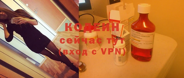 шишки Абаза