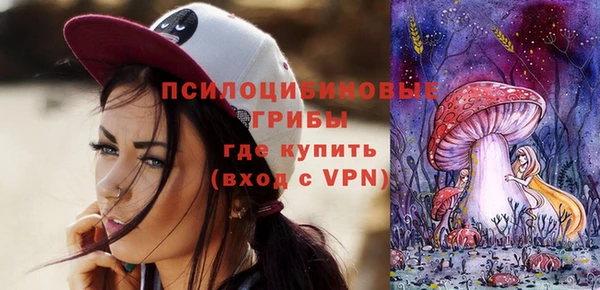 шишки Абаза