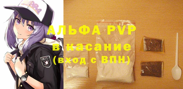 шишки Абаза